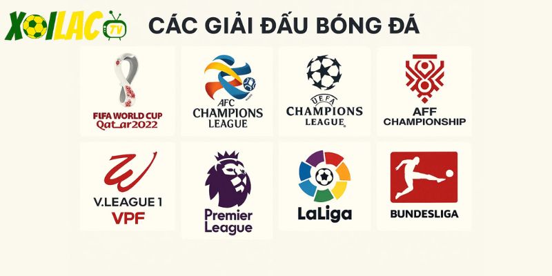 Đa dạng các giải đấu bóng đá Đa dạng các giải đấu bóng đá